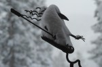 DSC_5401