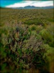 IMG_1052